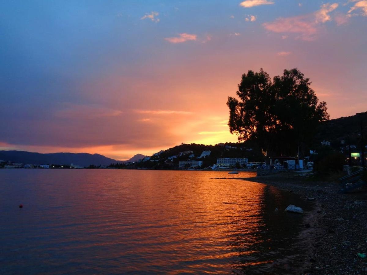 Poros Pine Villa Poros Town Екстер'єр фото